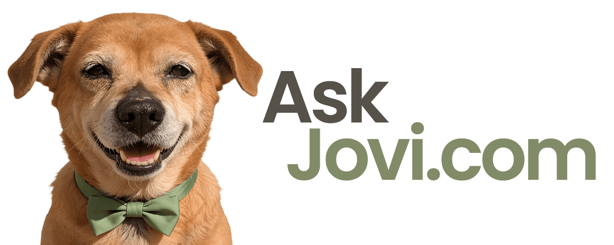 AskJovi logo brown dog portrait with text