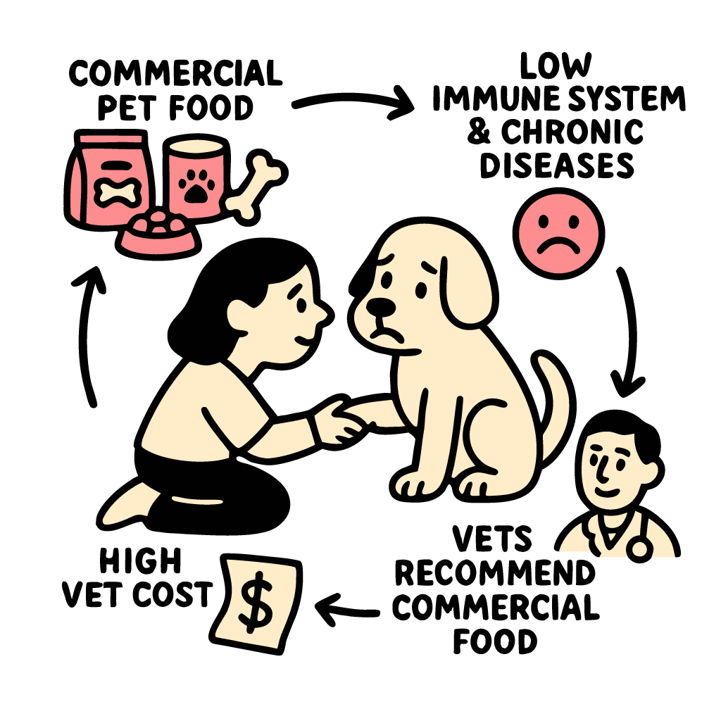 Graphic showing cost of veterinarians is high due to low quality food given to pet