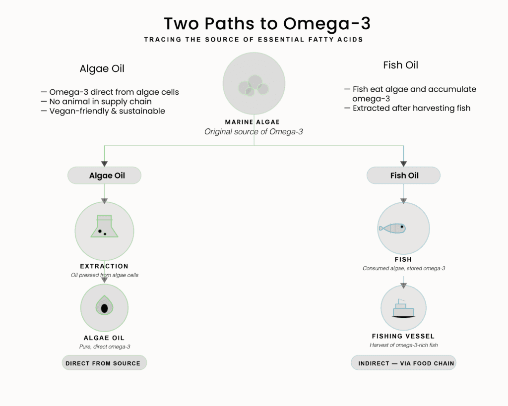 Infographic sources of Omega-3
