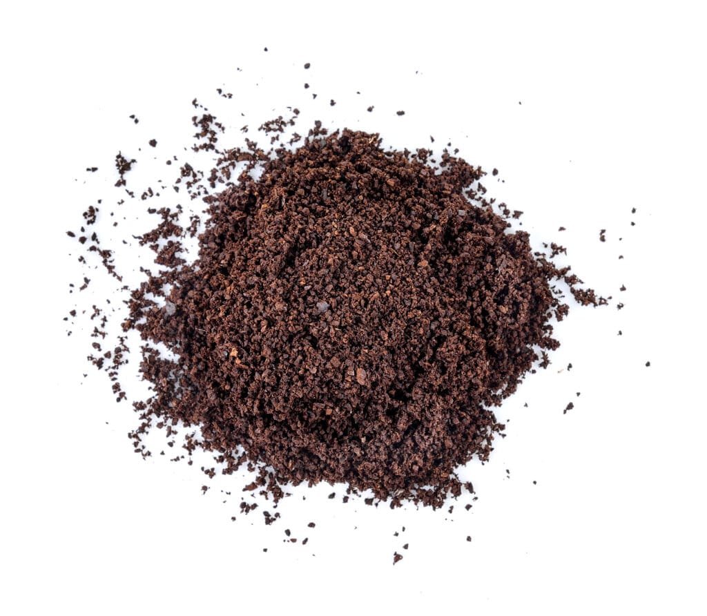 Ear mites in dogs look like dark coffee ground