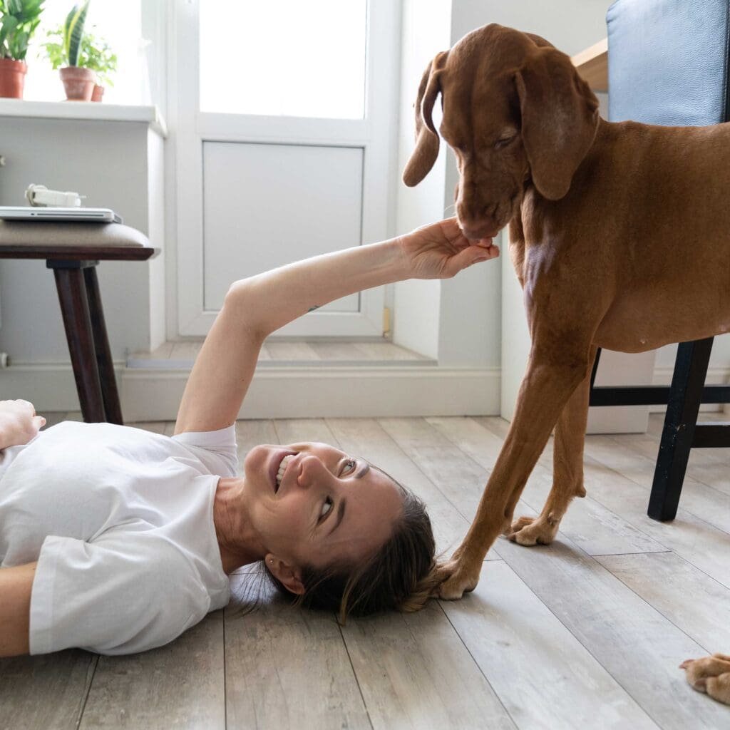 Woman lying on the floor and playing with her brown dog