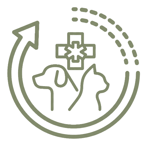 Icon shows recurring pet illness brings pet back to vet